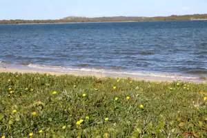 2025-07-21 Cpt. Cook Brdg. Walk - IMG_3842_compressed_q80.webp